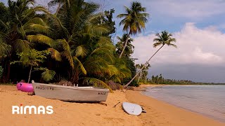 Bad Bunny  El Apagón 360° Visualizer  Un Verano Sin Ti [upl. by Martell]