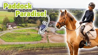 How we keep our horses Paddock Paradise  Track system [upl. by Lesig]