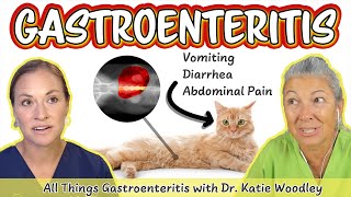 Pets With Vomiting Diarrhea or Abdominal Pain May be Gastroenteritis [upl. by Heaps]