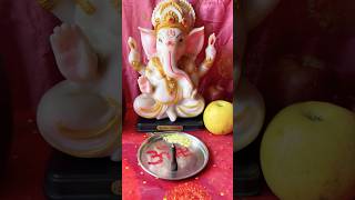 Bolo Ganpati Bappa Morya 🙏🙏 ganpati trending shortvideo goviral [upl. by Adaliah]