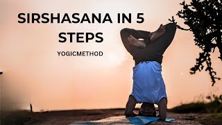 Sirsasana 5 easy steps to perform yogicmethod yogapractice headstand [upl. by Aihcropal]