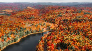 Peak Fall Foliage in New England Experience Autumn [upl. by Lothaire428]