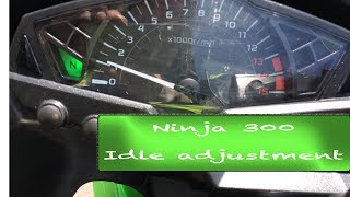 How to Adjust Idle Speed  Ninja 300 [upl. by Spurgeon]