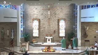 800am Sunday Mass November 3 2024 [upl. by Pitts]