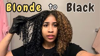 Going from Blonde to Black…Did I make a big mistake [upl. by Malo]