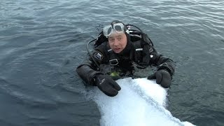 Diving Antarctica  JONATHAN BIRDS BLUE WORLD [upl. by Philis695]