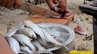 CARDUMES DE VÁRIAS ESPÉCIES NA PESCA DE HOJE [upl. by Mharg712]