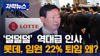 롯데 CEO 21명 교체·임원 22 퇴임 …역대급 인사 왜 자막뉴스  채널A [upl. by Kania]