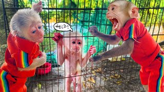 The unexpected meeting between monkeys TiTi PiPi and [upl. by Larisa]