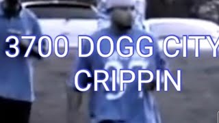 ES DOGG CITY CRIP 3700  DENVER politics eastside crip aaronhunter1641 [upl. by Aneger]