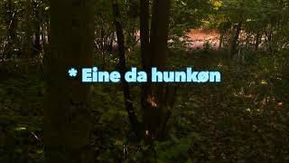 Ein Spaziergang im Wald 1 mit Erklärungen aus Deutsch [upl. by Leirum]