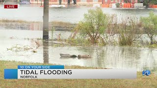 Tidal flooding expected in Norfolk due to coastal storm [upl. by Yhprum]