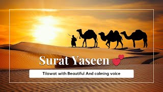 Most beautiful recitation of Surah Yaseen \ Yasin سورة يس ⋮ Beautiful Voice  ISLAMIC WRITES💕 [upl. by Nayrda]