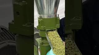 Flat die pellet mill machine with grass corn [upl. by Anwahsal]