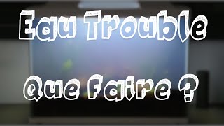 Leau de mon AQUARIUM est TROUBLE que faire [upl. by Thant]