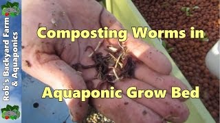 Composting worms in Aquaponic grow bed [upl. by Akimahc]