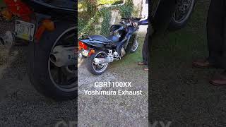 CBR1100XX Yoshimura hondamotorcycles motorcycle cbr1100xx hondacbrblackbird [upl. by Sualkcin386]