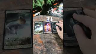 Một sự tái sinh trong tình yêu thienantarot tarot tarotreading tìnhyêu xuhuong2024 healing [upl. by Tavish134]