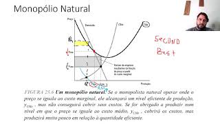 84 Monopólio Natural Monopsônio e Concorrência Monopolística  1ªed [upl. by Eniarol993]