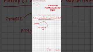 Nerve signal transmission nerves makeup asmr science biology meditation [upl. by Spohr]