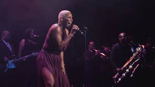 LiV Warfield amp NPGHORNZ Catch Me if You Can [upl. by Zina]