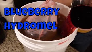 Blueberry Hydromel  First Fruit Hydromel [upl. by Kamp462]