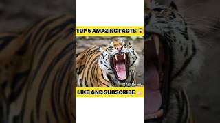 Top 5 interesting fact 😱 amazingfactsfacts factvhindi funfacts factv interestingfacts animals [upl. by Asserat]