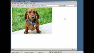 How to Insert an Image in a Webpage HTML  XHTML [upl. by Grace]