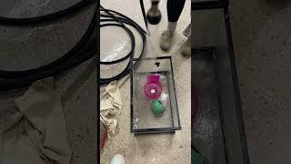 Gerbil cage cleaning part 2 disinfectant [upl. by Imyaj]