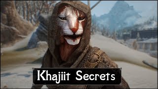 Skyrim 5 Things They Never Told You About The Khajiits [upl. by Tabbi]