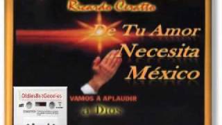 RICARDO CERATTO  De tu amor necesita México [upl. by Devitt]