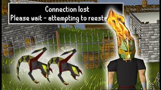 Disconeeeeeeeeeeeeeeeect  In Debt For A Pet OSRS [upl. by Ecyob125]