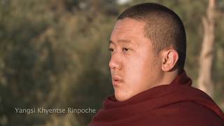 Yangsi Khyentse Rinpoche  A Morning Meditation [upl. by Ayaj]