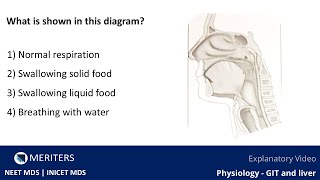 NEET MDS  INICET  Physiology  GIT Liver And Kidney  Explanatory Video  MERITERS neetmds2025 [upl. by Lilhak]