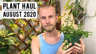 Houseplant Haul  August 2020 [upl. by On]