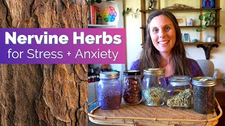 Nervine Herbs for Stress and Anxiety [upl. by Idnod]