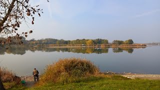 Сербия Воеводина Большой дом у озера в Бачке Тополе Все вопросы по контакту под видео [upl. by Enyaz]