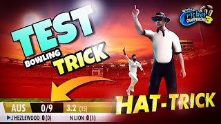 WCC3 Test Bowling Tips  💯Working [upl. by Atirahc685]