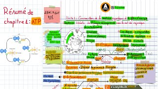 Résume de chapitre 1 libération de lénergie emmagasinée dans la matière organique [upl. by Eenobe345]