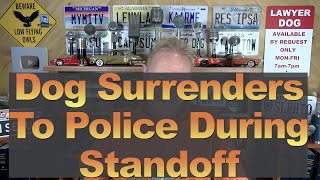 Dog Surrenders to Police During Standoff [upl. by Nevah169]