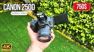 Amateur Price For A Pro DSLR  Canon 250D Review [upl. by Naashar]