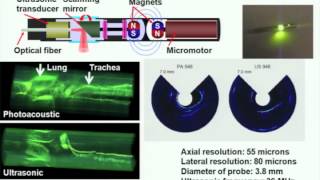 Photoacoustic tomography ultrasonically breaking through the optical diffusion limit [upl. by Aiekal]