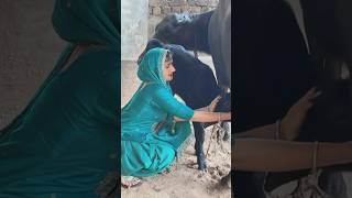 Bahu jamidar ki shortvideo shortvideo youtubeshorts youtube [upl. by Bran]