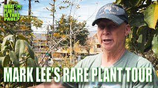 MARK LEEs RARE PLANT TOUR  OVER 1 HOUR of RARE PLANT POWER [upl. by Glenn95]