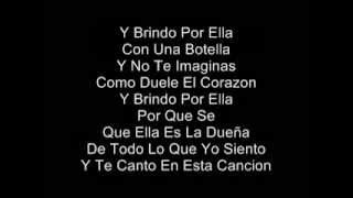 Brindo Por Ella Letra Pasabordo Nuevo 2013 [upl. by Nylehtak44]