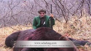 OURS BROWN BEAR HUNTING Chasse KAMCHATKA RUSSIA by Seladang [upl. by Kline]