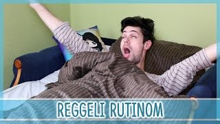 REGGELI RUTINOM [upl. by Asyl]