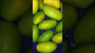 Fruit king Mango👑🥭reels health testy reels likesyammiyoutubeshorts [upl. by Edwine]