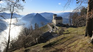 Die Christrosen vom Monte Brè  Lugano  Gandria  Brè Paese  4 Jan 2024 [upl. by Arleta417]