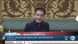 Michigan Sen Mallory McMorrow blasts fellow Sen Lana Theis in viral floor speech [upl. by Hanfurd]